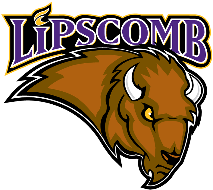 Lipscomb Bisons 2002-2011 Primary Logo diy DTF decal sticker